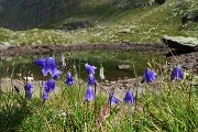 40 Al Laghetto di Pietra Quadra con poca acqua